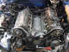 DSC00025.jpg (90775 Byte)