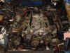 DSC00029.jpg (86884 Byte)