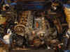 DSC00043.jpg (96505 Byte)